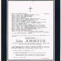 Ammeux Julia||<img src=_data/i/upload/2012/12/17/20121217094356-a56039c8-th.jpg>