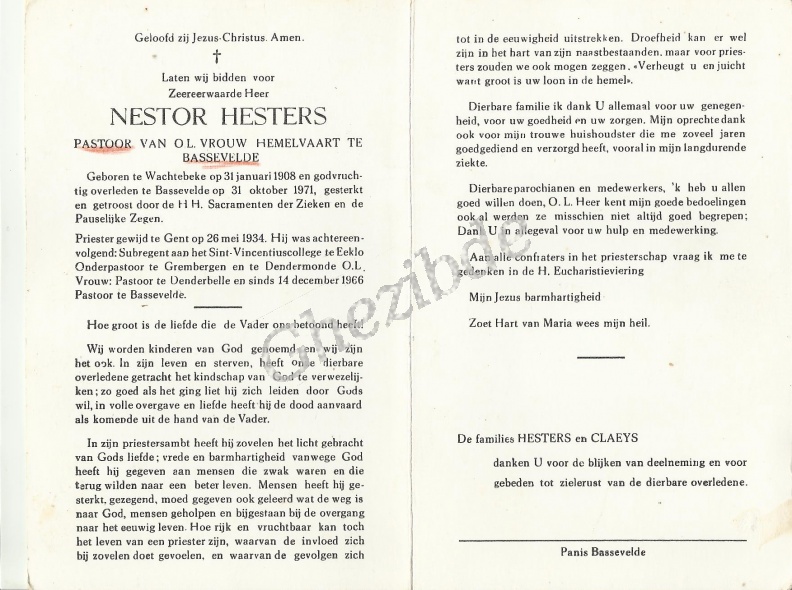 Hesters Nestor.jpg
